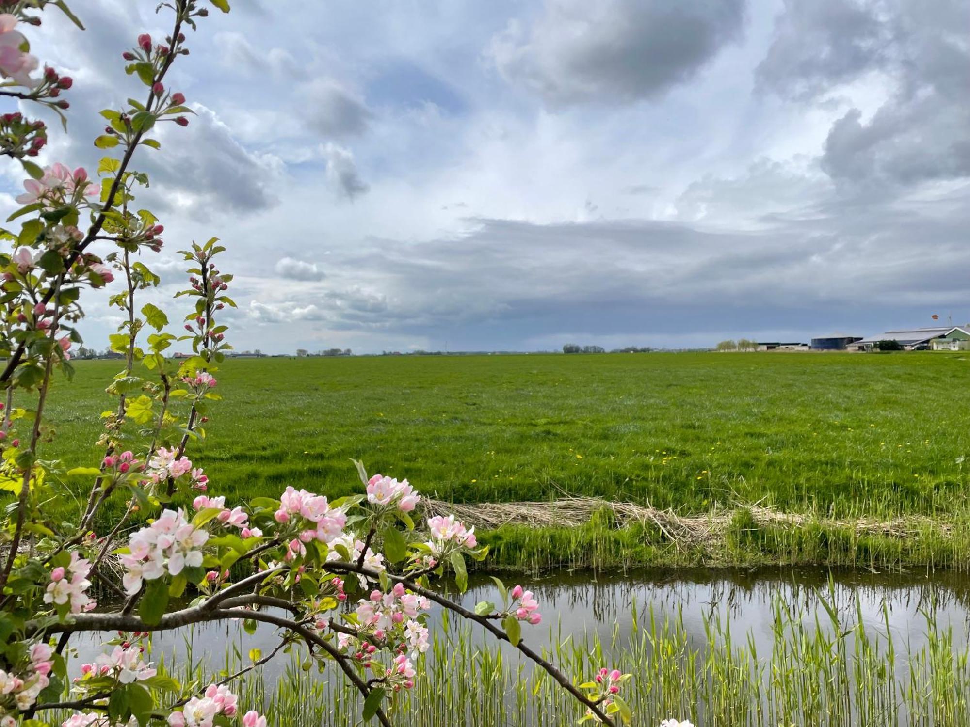 Bed And Breakfast De Salix Hitzum Eksteriør billede
